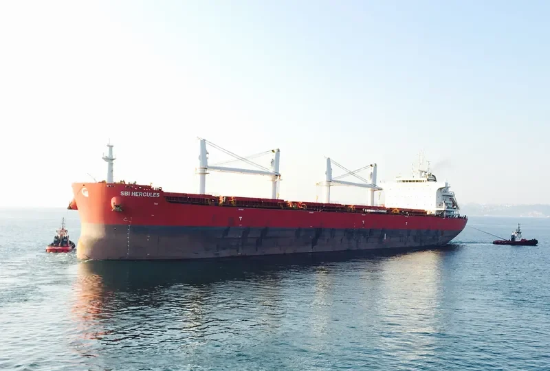 SBI HERCULES Bulk Carrier IMO 9705342 photo 10