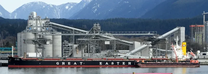 JAG ARNAV Bulk Carrier IMO 9705354 photo 2