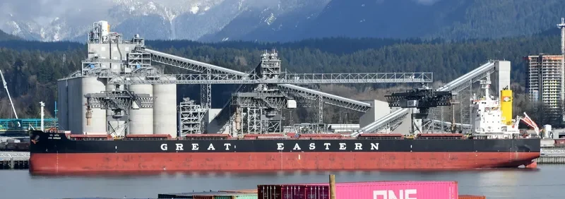 JAG ARNAV Bulk Carrier IMO 9705354 photo 3