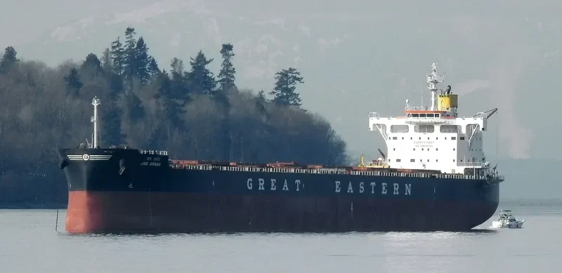 JAG ARNAV Bulk Carrier IMO 9705354 photo 5