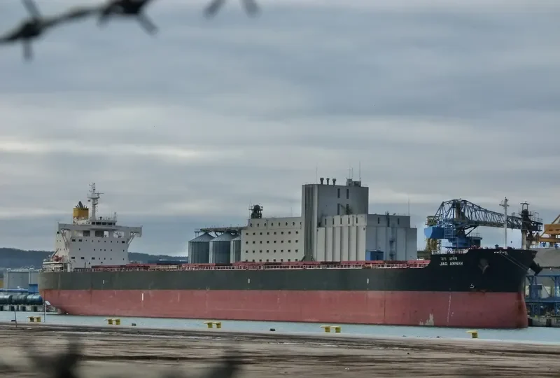 JAG ARNAV Bulk Carrier IMO 9705354 photo 6
