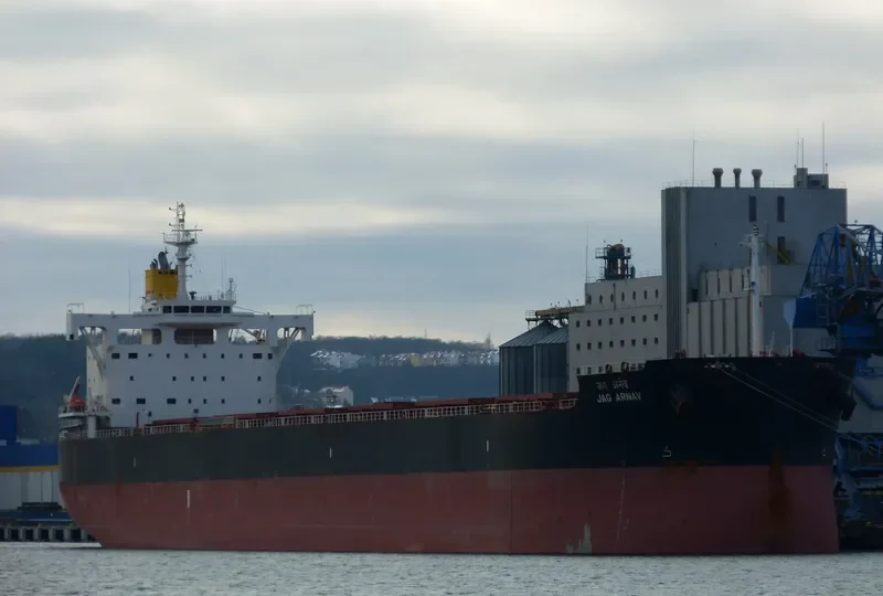 JAG ARNAV Bulk Carrier IMO 9705354 photo 7