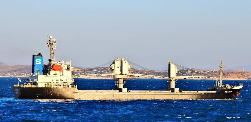 ASTREA Bulk Carrier IMO 9705366 photo 2