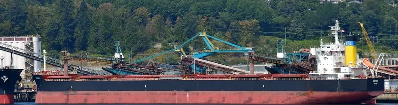 ASTREA Bulk Carrier IMO 9705366 photo 5