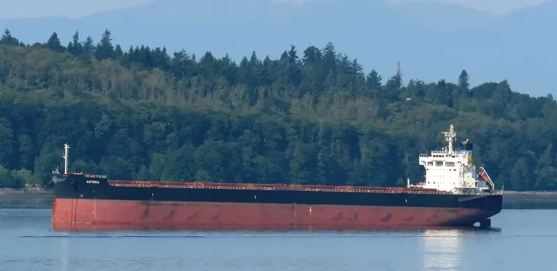 ASTREA Bulk Carrier IMO 9705366 photo 6
