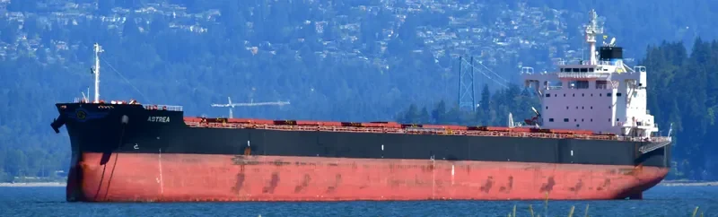 ASTREA Bulk Carrier IMO 9705366 photo 7