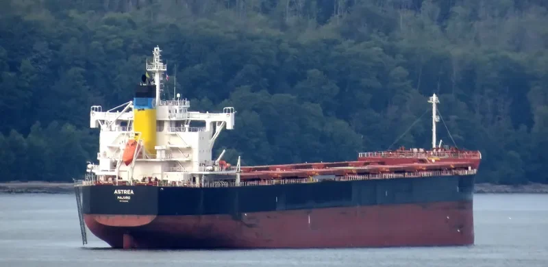 ASTREA Bulk Carrier IMO 9705366 photo 8