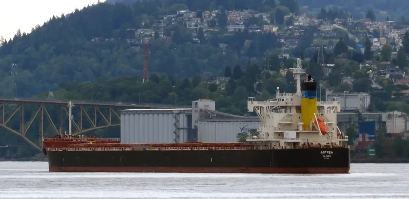 ASTREA Bulk Carrier IMO 9705366 photo 9