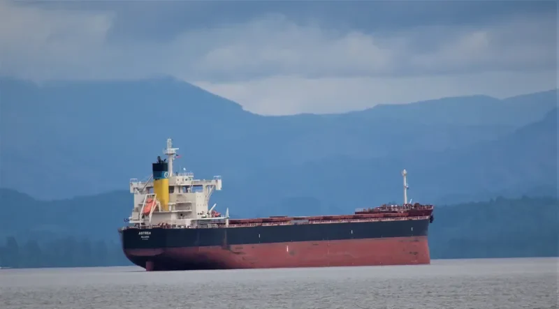 ASTREA Bulk Carrier IMO 9705366 photo 10