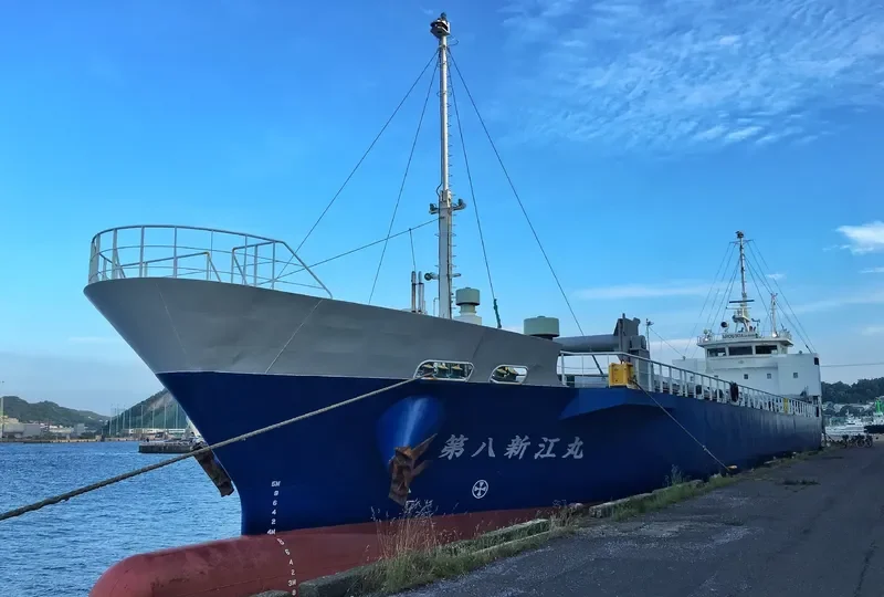 SHINKO MARU NO.8 General Cargo IMO 9705380 photo 2