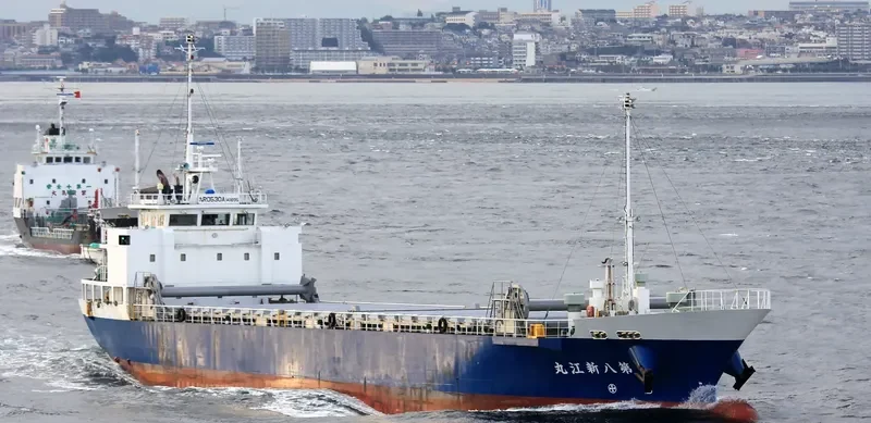 SHINKO MARU NO.8 General Cargo IMO 9705380 photo 8
