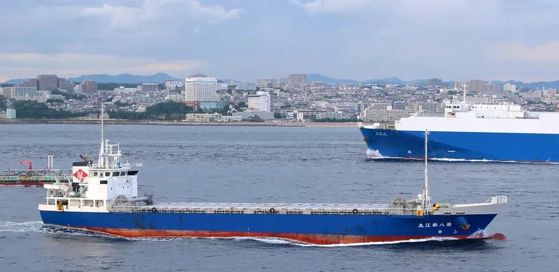 SHINKO MARU NO.8 General Cargo IMO 9705380 photo 9