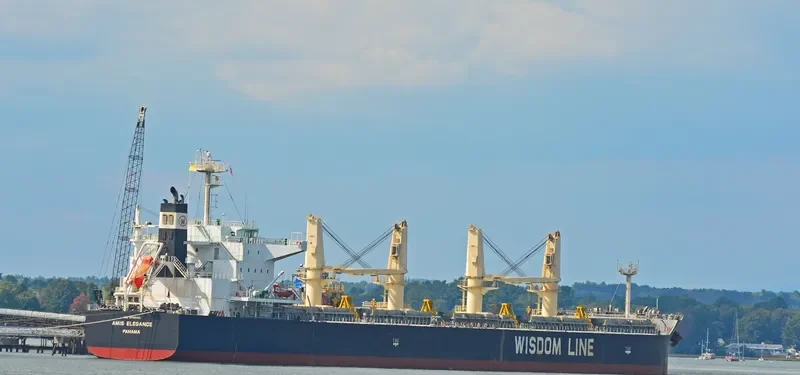 AMIS ELEGANCE Bulk Carrier IMO 9705421 photo 2