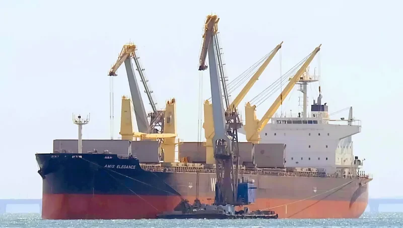 AMIS ELEGANCE Bulk Carrier IMO 9705421 photo 4