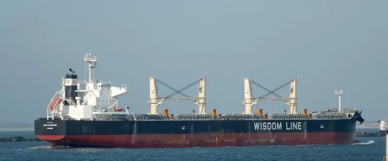 AMIS ELEGANCE Bulk Carrier IMO 9705421 photo 5