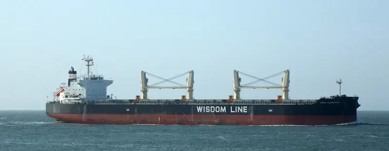 AMIS ELEGANCE Bulk Carrier IMO 9705421 photo 6