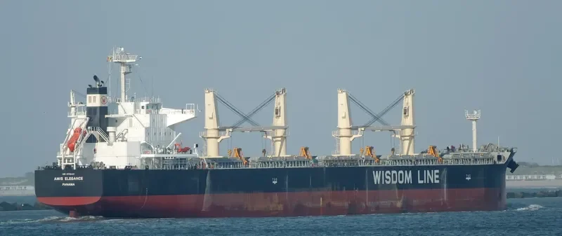 AMIS ELEGANCE Bulk Carrier IMO 9705421 photo 7