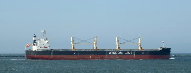 AMIS ELEGANCE Bulk Carrier IMO 9705421 photo 8