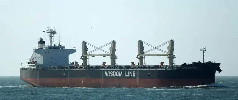 AMIS ELEGANCE Bulk Carrier IMO 9705421 photo 9