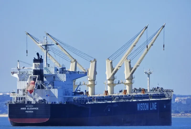 AMIS ELEGANCE Bulk Carrier IMO 9705421 photo 10