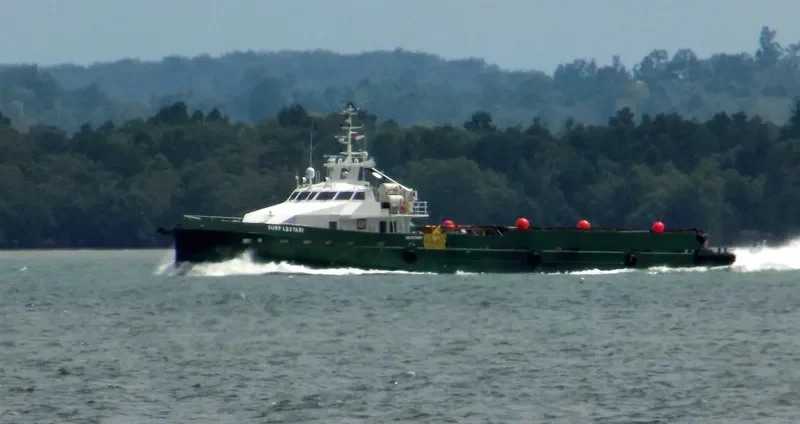 SURF LESTARI General Cargo IMO 9705691 photo 2