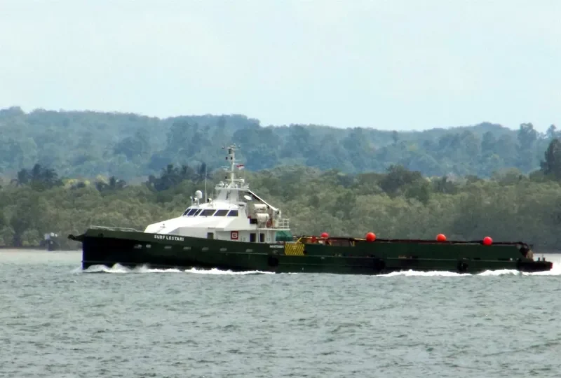SURF LESTARI General Cargo IMO 9705691 photo 3