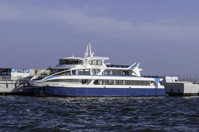 MIRVARI Passenger Ship IMO 9705794 photo 2