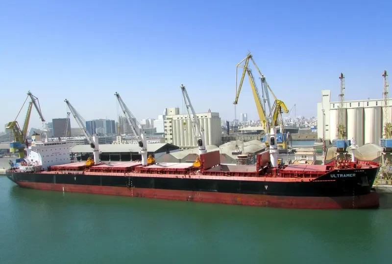 NAVIGARE BONITAS Bulk Carrier IMO 9705976
