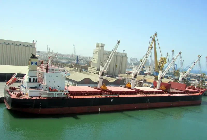 NAVIGARE BONITAS Bulk Carrier IMO 9705976 photo 2