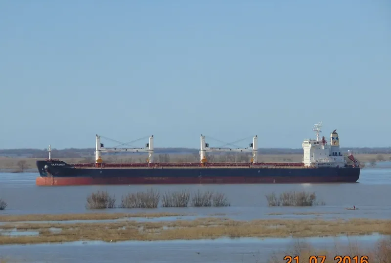 NAVIGARE BONITAS Bulk Carrier IMO 9705976 photo 3