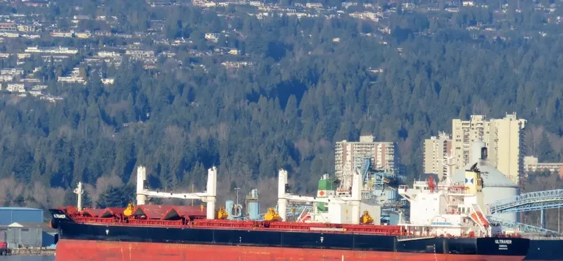 NAVIGARE BONITAS Bulk Carrier IMO 9705976 photo 5
