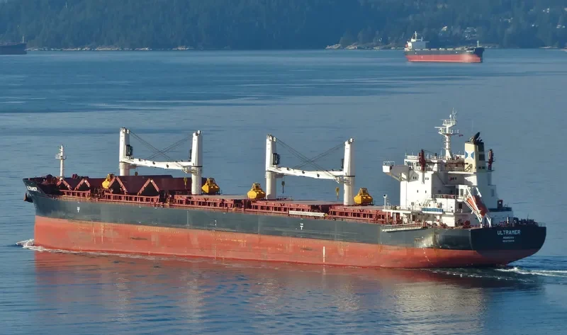 NAVIGARE BONITAS Bulk Carrier IMO 9705976 photo 7