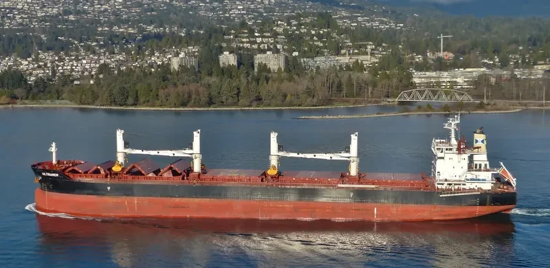 NAVIGARE BONITAS Bulk Carrier IMO 9705976 photo 8