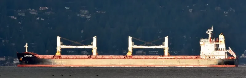NAVIGARE BONITAS Bulk Carrier IMO 9705976 photo 9