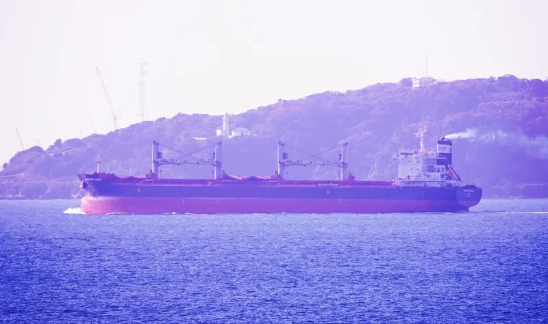 WESTPORT EAGLE Bulk Carrier IMO 9705988 photo 2