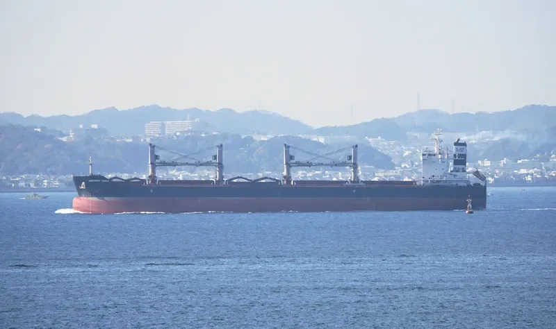 WESTPORT EAGLE Bulk Carrier IMO 9705988 photo 3