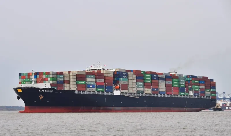 CAPE TAINARO Container Ship IMO 9706205