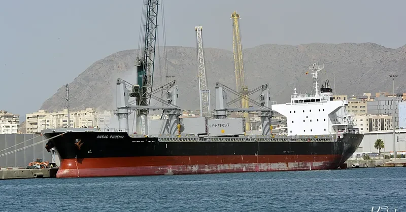 SODA PHOENIX Bulk Carrier IMO 9706334 photo 8