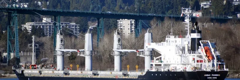 SODA PHOENIX Bulk Carrier IMO 9706334 photo 10