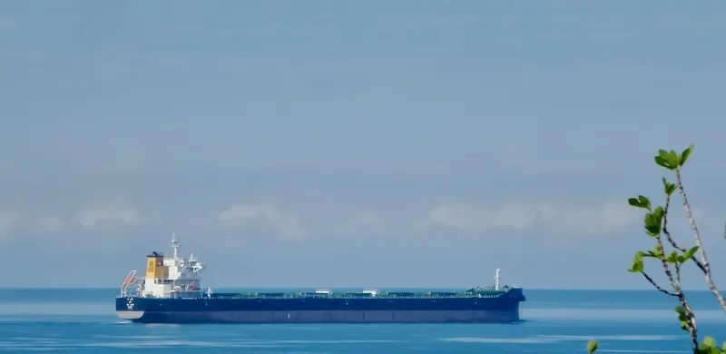 JAG AALOK Bulk Carrier IMO 9706566 photo 2