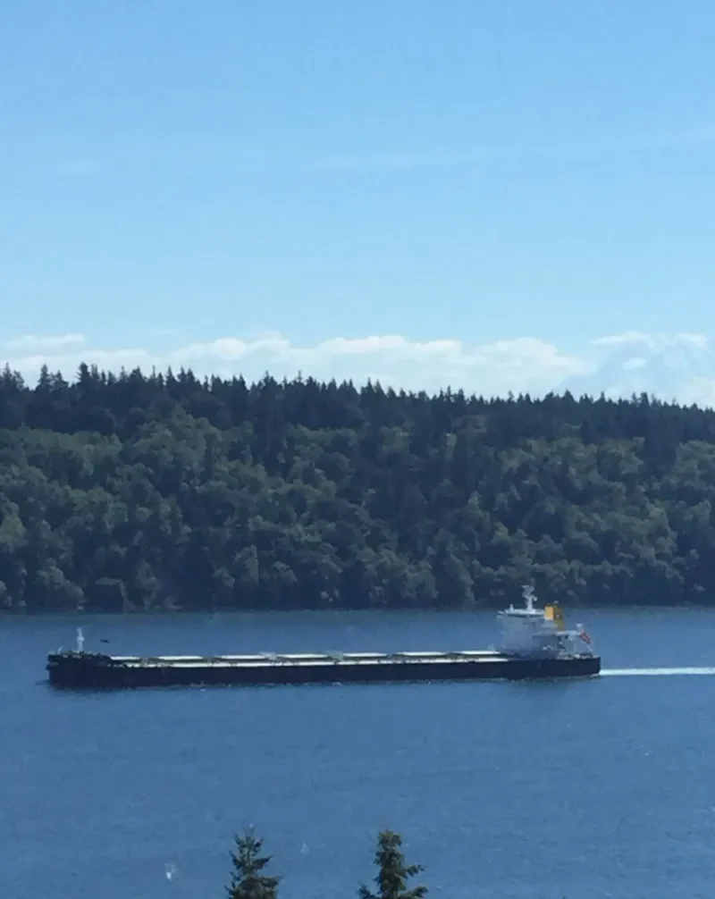 JAG AALOK Bulk Carrier IMO 9706566 photo 8