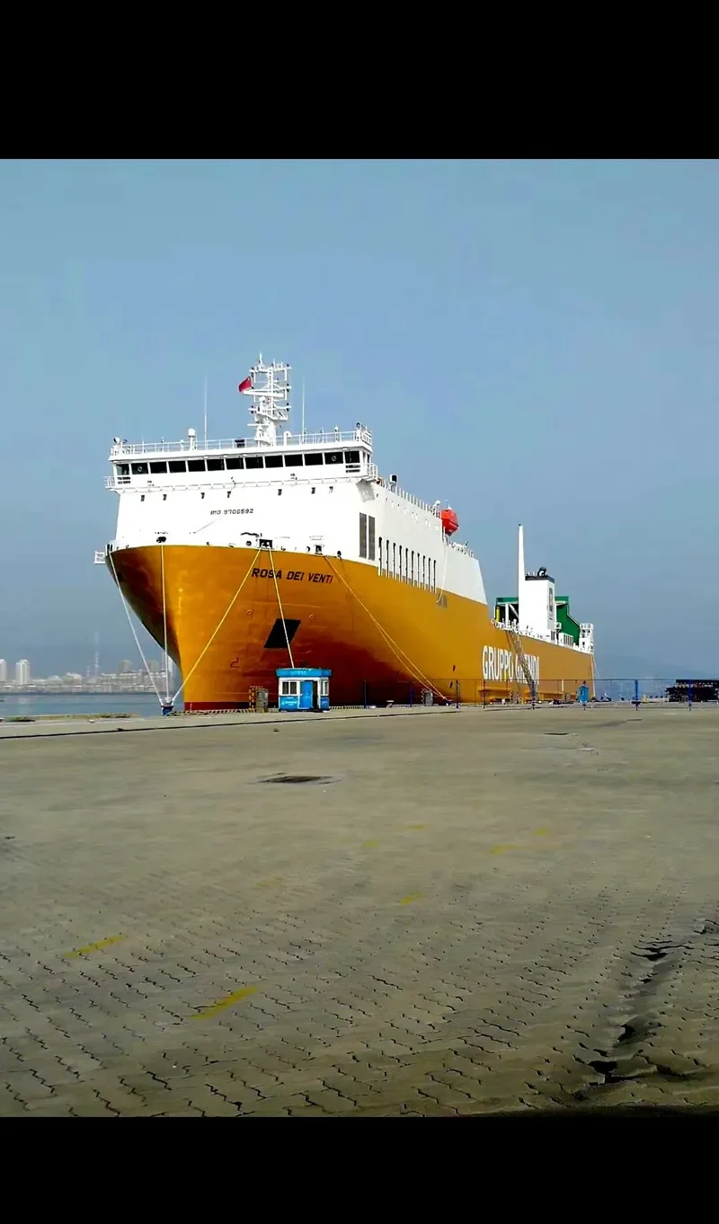 ROSA DEI VENTI Ro-Ro IMO 9706592 photo 10
