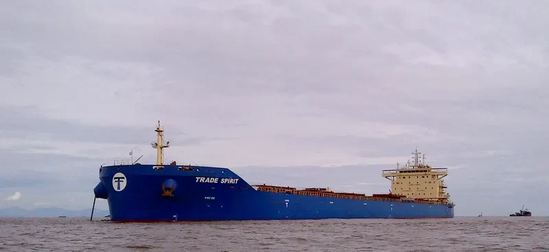 AGIA SOFIA Bulk Carrier IMO 9706786