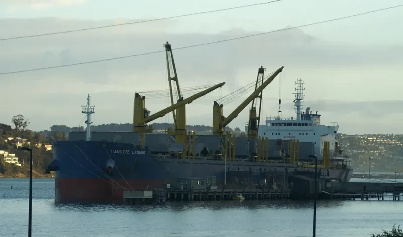 YANGTZE LEGEND Bulk Carrier IMO 9706827 photo 5