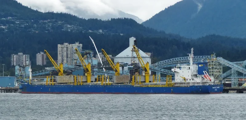 YANGTZE LEGEND Bulk Carrier IMO 9706827 photo 7