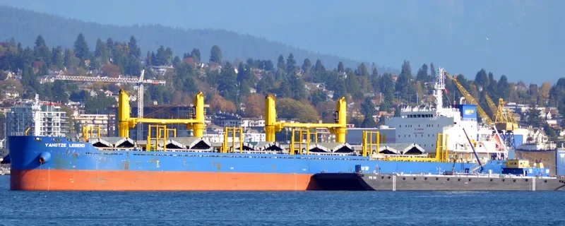 YANGTZE LEGEND Bulk Carrier IMO 9706827 photo 9