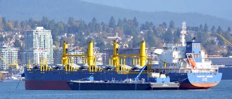 YANGTZE LEGEND Bulk Carrier IMO 9706827 photo 10