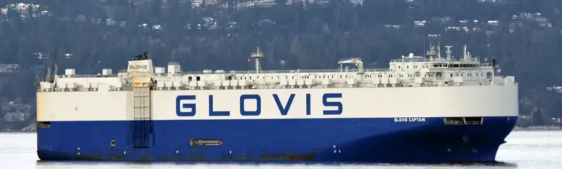 GLOVIS CAPTAIN General Cargo IMO 9707015 photo 5