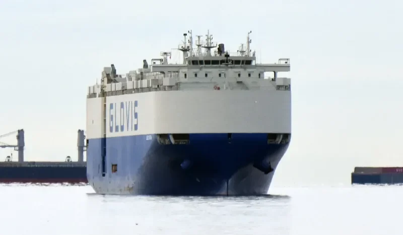 GLOVIS CAPTAIN General Cargo IMO 9707015 photo 6