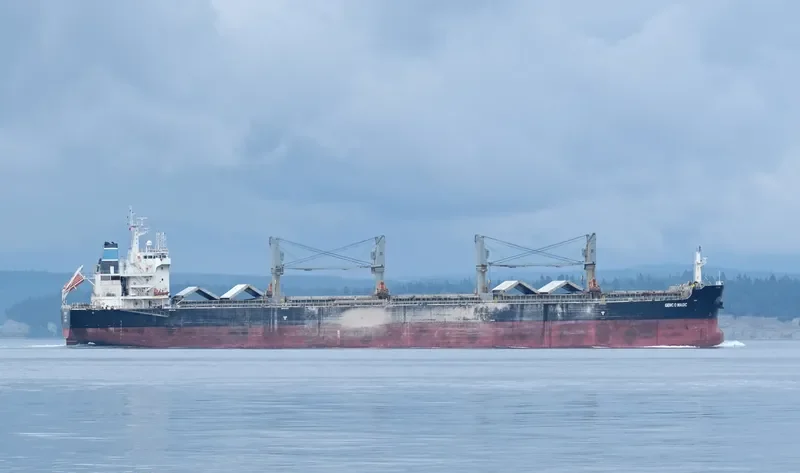 GENCO MAGIC Bulk Carrier IMO 9707364 photo 10